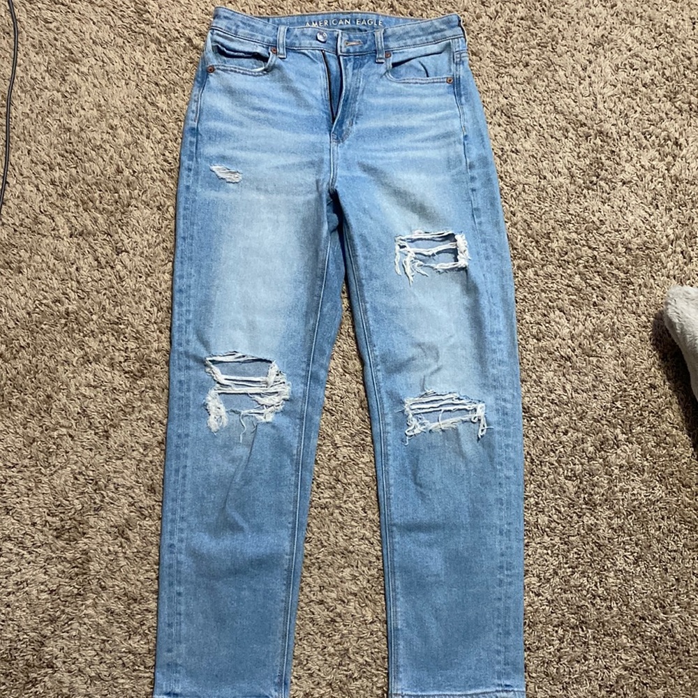 Custom American Eagle Mom Jeans (size 4, but can fit size 6)